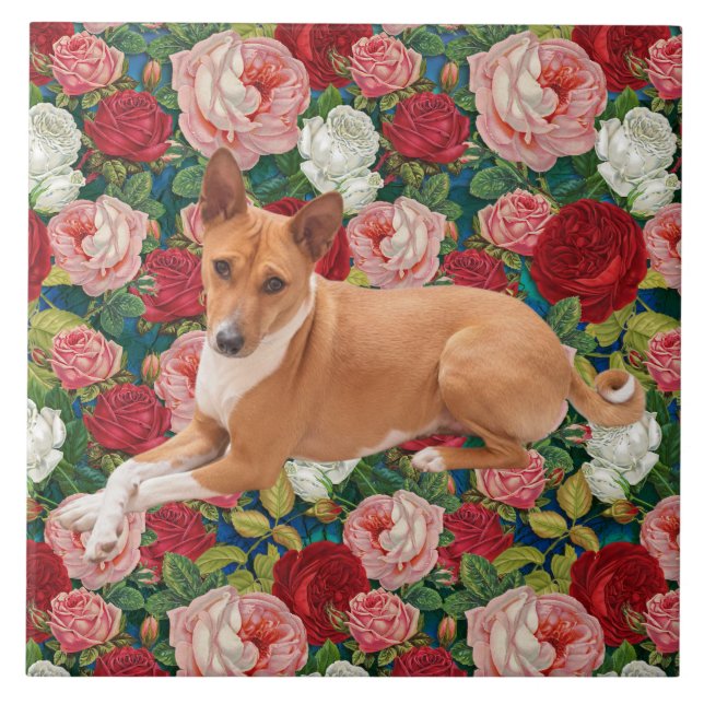 Carreau Chien Basenji  (Devant)