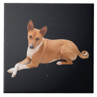 Carreau Chien Basenji