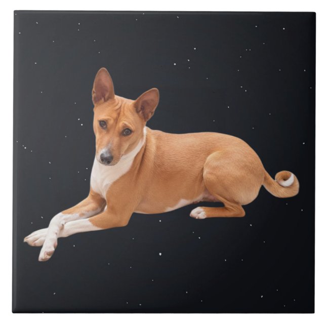 Carreau Chien Basenji  (Devant)