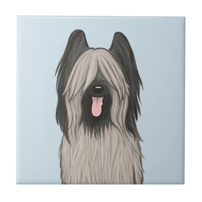 Carreau Chien caricaturé mignon Briard (Devant)