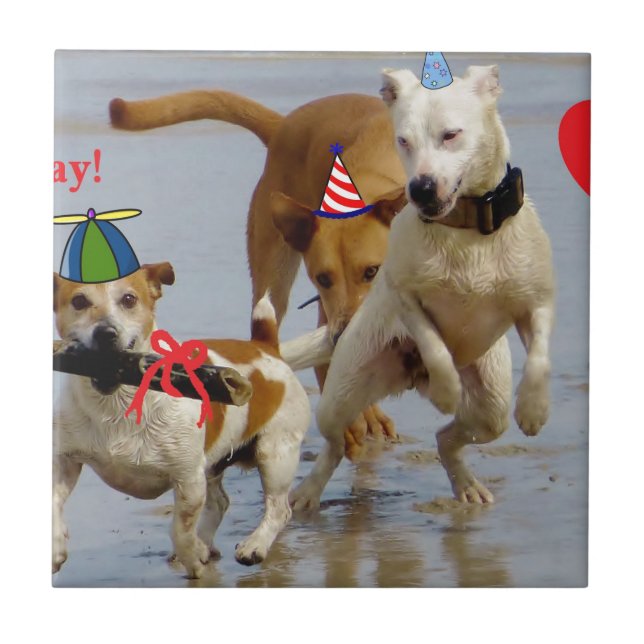 Carreau chien d'anniversaire heureux (Devant)