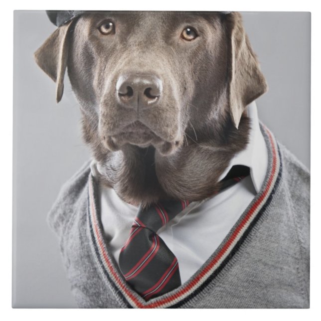 Carreau Chien dans le chandail et le casquette (Devant)