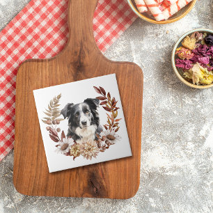 Carreau Chien d'automne blanc noir australien