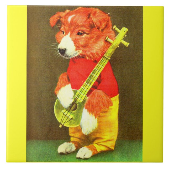 Carreau Chien de Banjo (Devant)