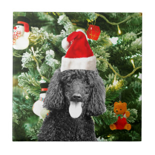 Carreau Chien de caniche sapin de Noël Snowman Red Santa C