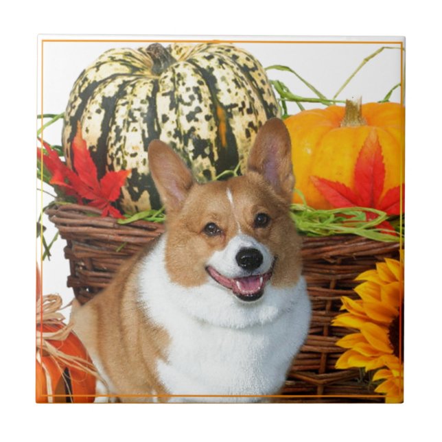 Carreau Chien de corgi de Halloween Gallois (Devant)