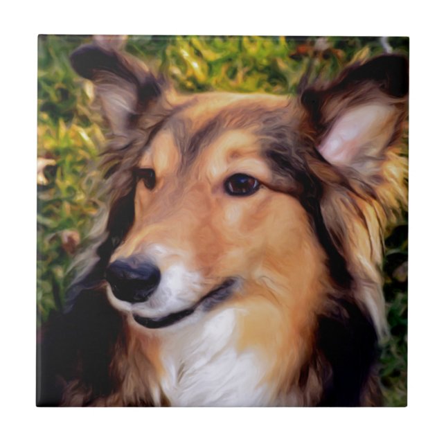 Carreau Chien de délivrance (Devant)