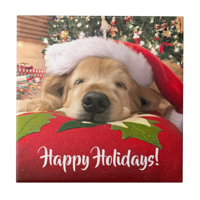 Carreau Chien de golden retriever de Noël endormi sous (Devant)