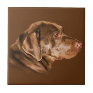 Carreau Chien de labrador retriever, tuile,