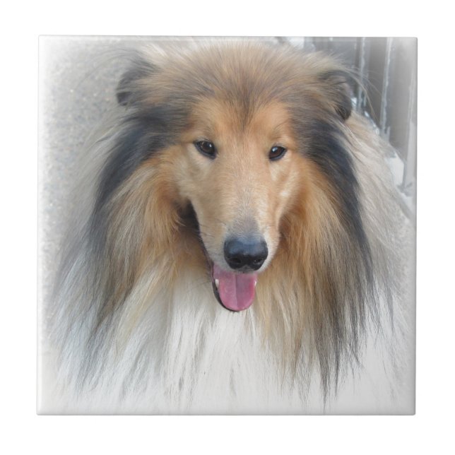 Carreau Chien doux (Devant)