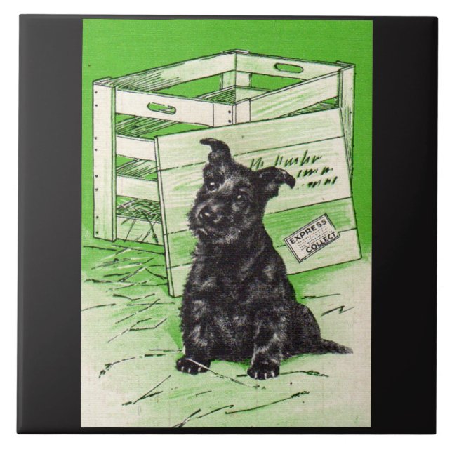 Carreau Chien écossais par livraison spéciale (Devant)