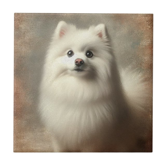 Carreau Chien esquimau américain (Devant)