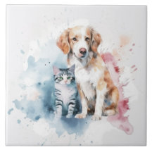 Chien et chat meilleurs amis