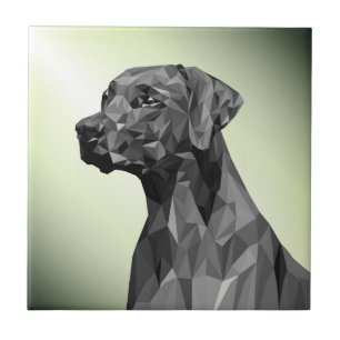 Carreau Chien géométrique gris vert