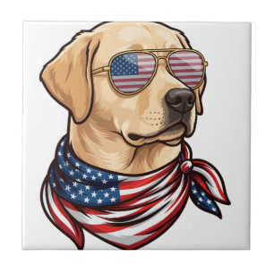 Carreau Chien Lunettes de soleil Drapeau Usa Bandana
