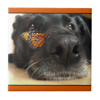 Carreau Chien noir de laboratoire avec le papillon