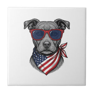 Carreau Chien Patriotique Avec Lunettes De Soleil Design D