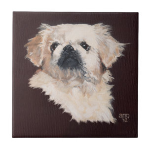 Carreau Chien Pékinois Blanc