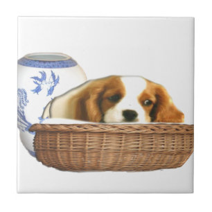 Carreau Chiens de chiots