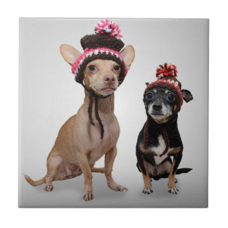 Carreau Chiens de chiwawa avec la photo de casquettes