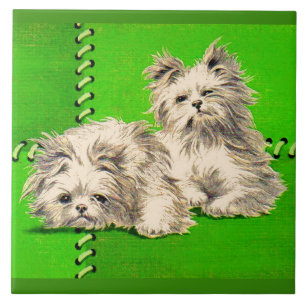 Carreau chiens de couverture mignons