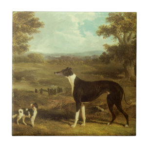 Carreau Chiens, Greyhound et Spaniel, Doctor Fop par Herri