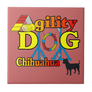 Carreau Chihuahua Agilité