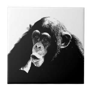 Carreau Chimpanzé Extraordinaire noir et blanc