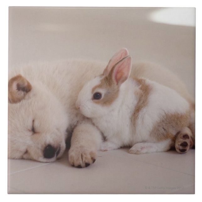 Carreau Chiot et lapin (Devant)