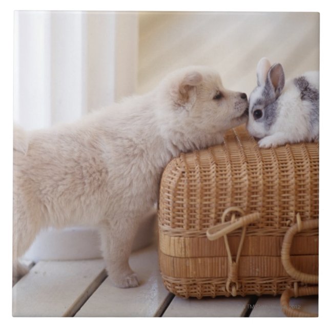 Carreau Chiot et lapin (Devant)