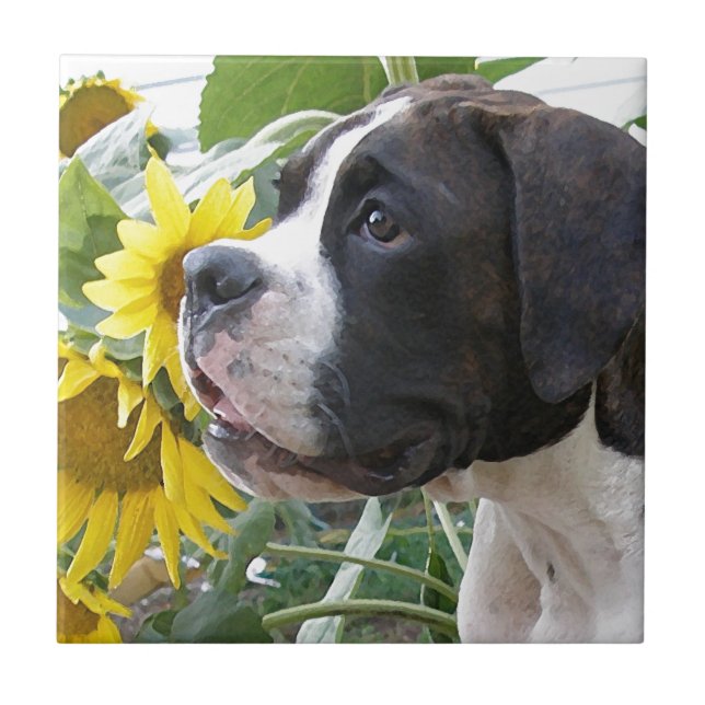 Carreau Chiot et tournesols de boxeur (Devant)