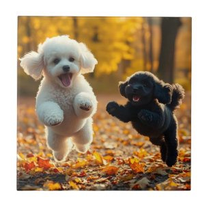Carreau Chiots Caniches qui sautent