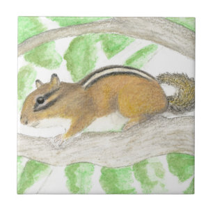 Carreau Chipmunk
