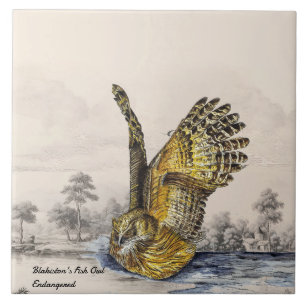 Carreau Chouette de poisson Majestic en voie de disparitio