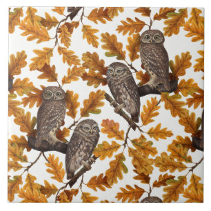 Carreau Chouettes d'automne sur coton blanc