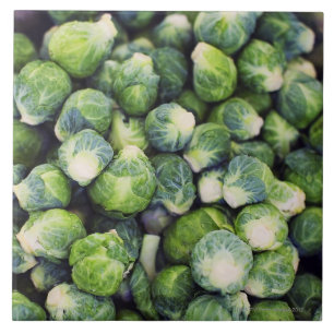 Carreau Choux de bruxelles frais vert clair