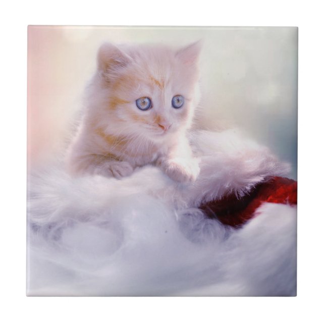 Carreau Christmas Kitten (Devant)