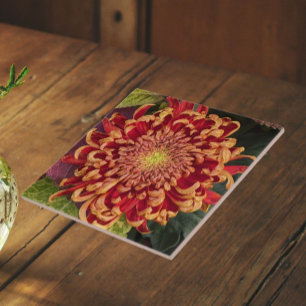 Carreau Chrysanthème floral rouge et jaune