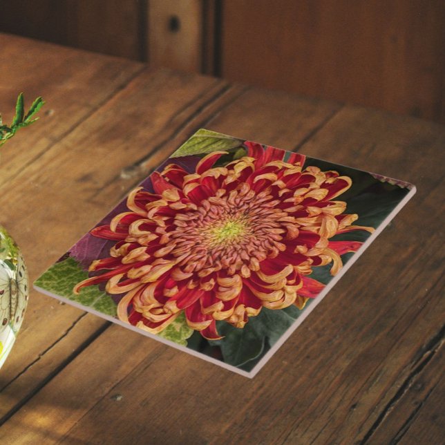 Carreau Chrysanthème floral rouge et jaune (In Situ)