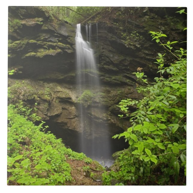Carreau Chute d'eau tombant dans l'évier, puits de Whiteak (Devant)