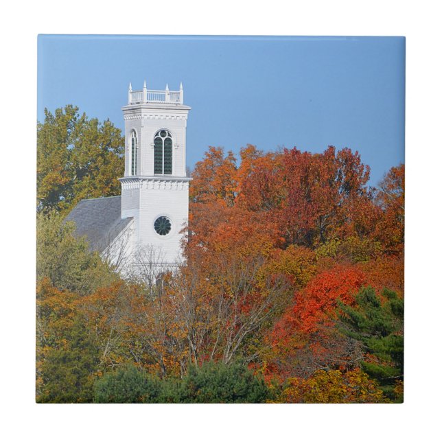 Carreau Chute Église Trivet (Devant)