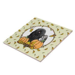 Carreau Chute Puli Chien (noir) Citrouille Feuille mignon