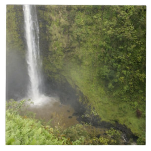 Carreau Chutes Akaka, côte Hamakua, île d'Hawaï,