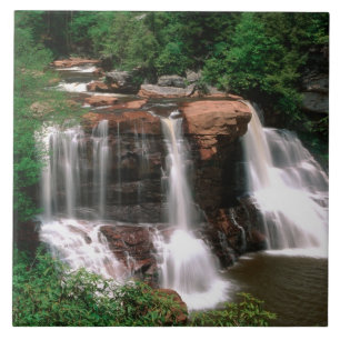 Carreau Chutes de Blackwater, Virginie-Occidentale, pittor