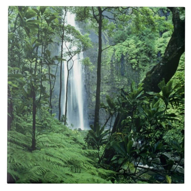 Carreau Chutes de Hanakapiai le long de la côte Na Pali, K (Devant)