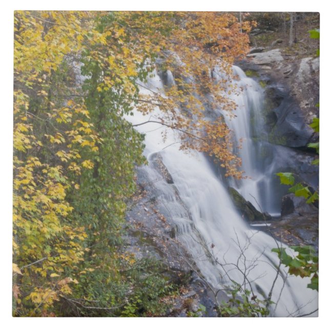 Carreau Chutes de la rivière Bald (Devant)