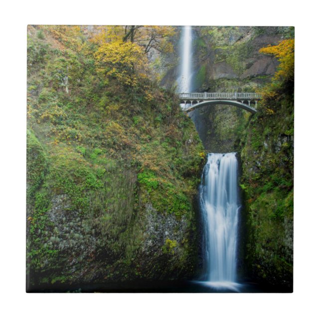 Carreau Chutes de Multnomah en automne dans la gorge de Co (Devant)