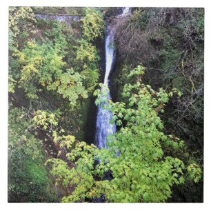 Carreau Chutes de Shepperd's Dell, OR