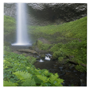 Carreau Chutes Latourell, Gorge du Columbia, Oregon,