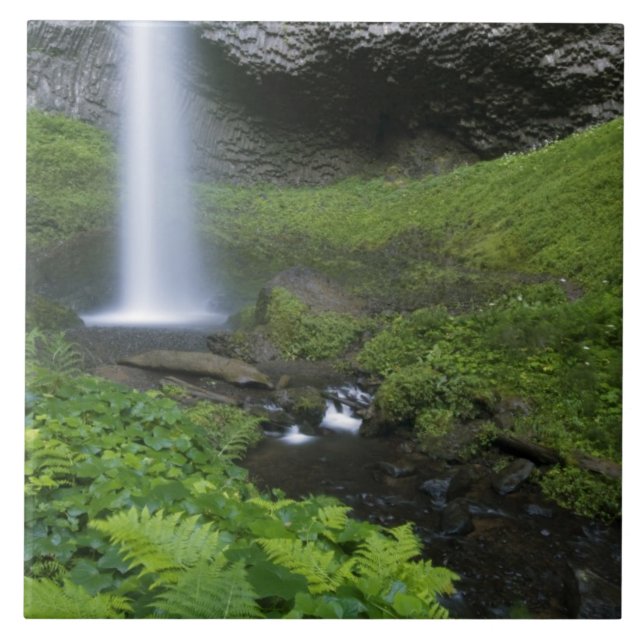 Carreau Chutes Latourell, Gorge du Columbia, Oregon, (Devant)
